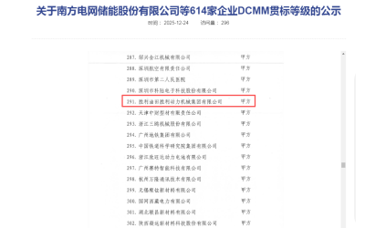胜动集团公司顺利通过DCMM认证