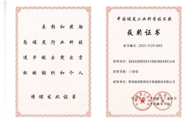 以技赋能拓市场 深耕融合促提升 &mdash;&mdash;聚焦胜动集团瓦斯利用技术斩获行业大奖