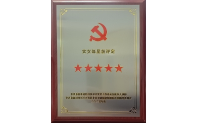 双星闪耀映初心 党建引领强发展&mdash;&mdash;胜动集团两党支部同获五星级殊荣