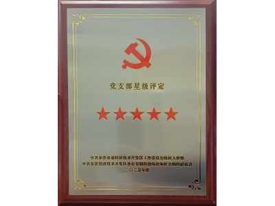 双星闪耀映初心 党建引领强发展&mdash;&mdash;胜动集团两党支部同获五星级殊荣