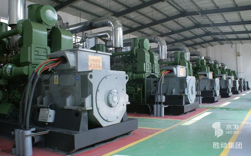 沈煤红阳电站发电项目